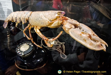 Lobster Telephone or Telephone Aphrodisiaque